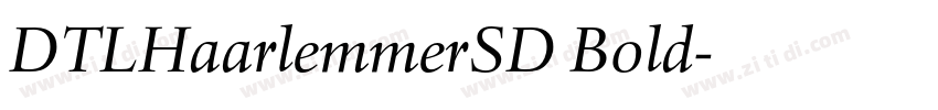 DTLHaarlemmerSD Bold字体转换